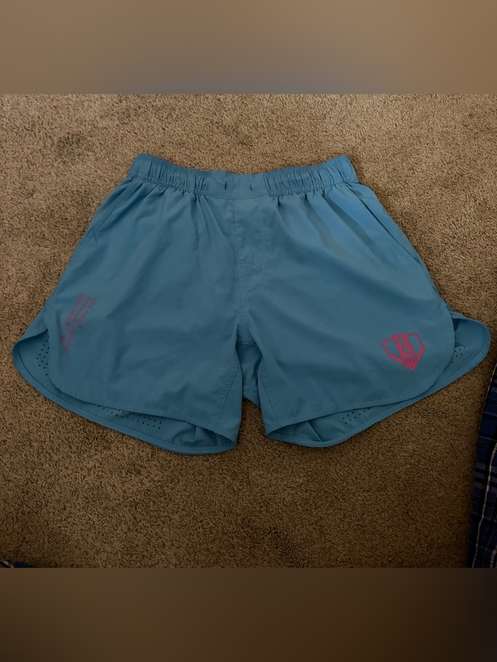 Baseball 101 Shorts
